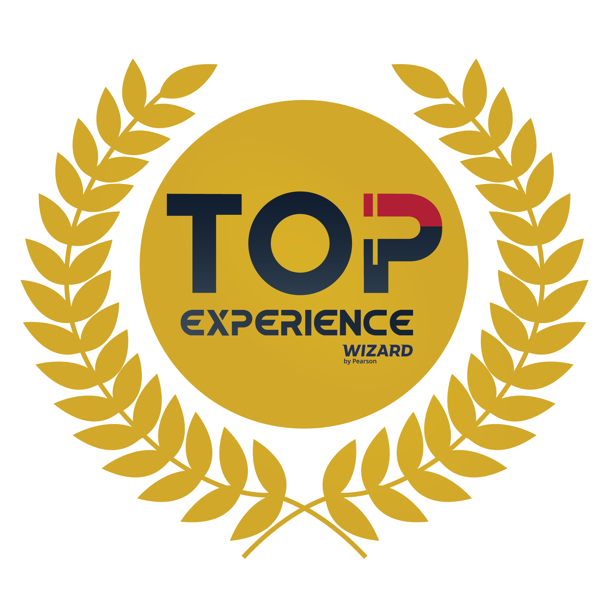 Top Experience